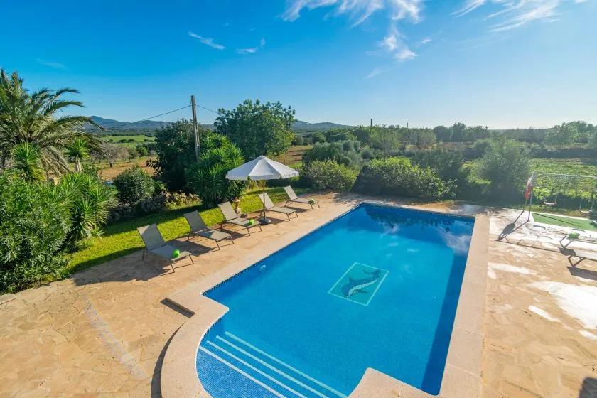 A swimming pool surrounded by a stone patio and greenery.