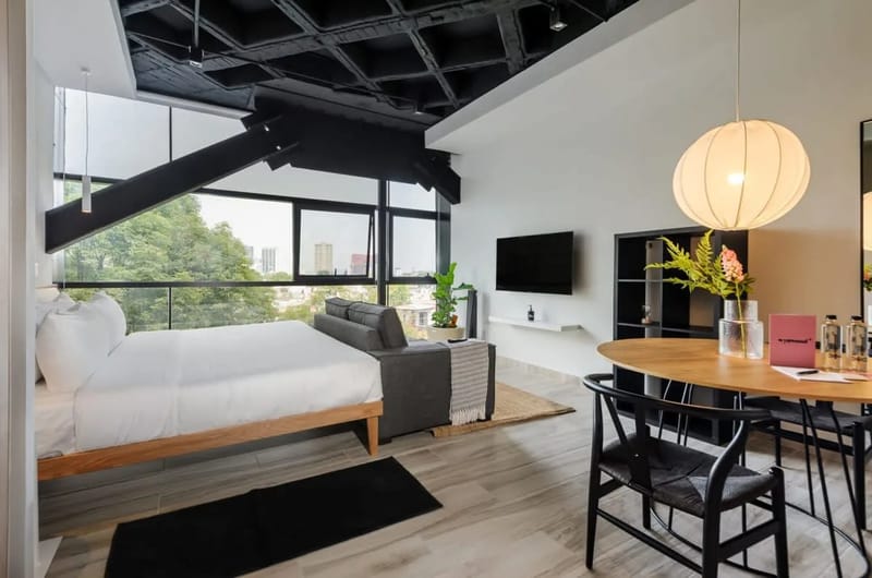 Well-appointed Loft near Polanco