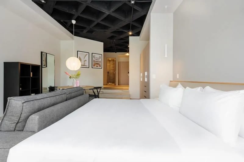 Well-appointed Loft near Polanco