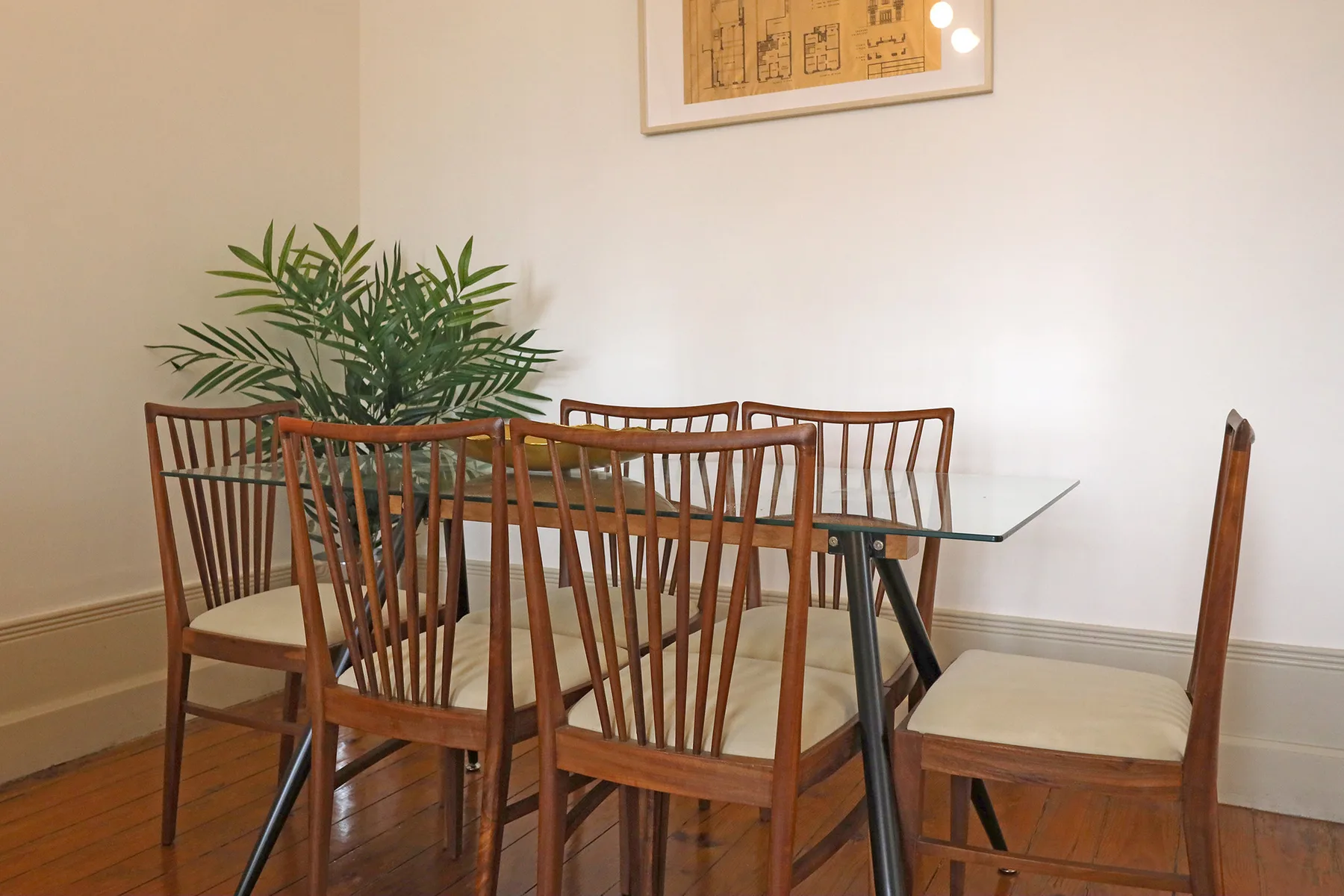 A dining area with a glass table, wooden seating, and a leafy plant.