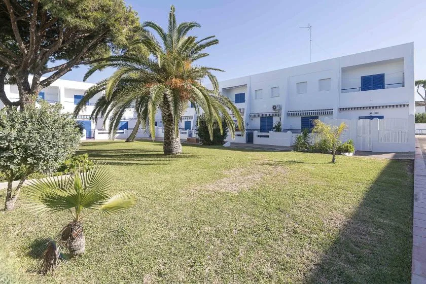 A white building stands beyond a grassy courtyard with palm trees.