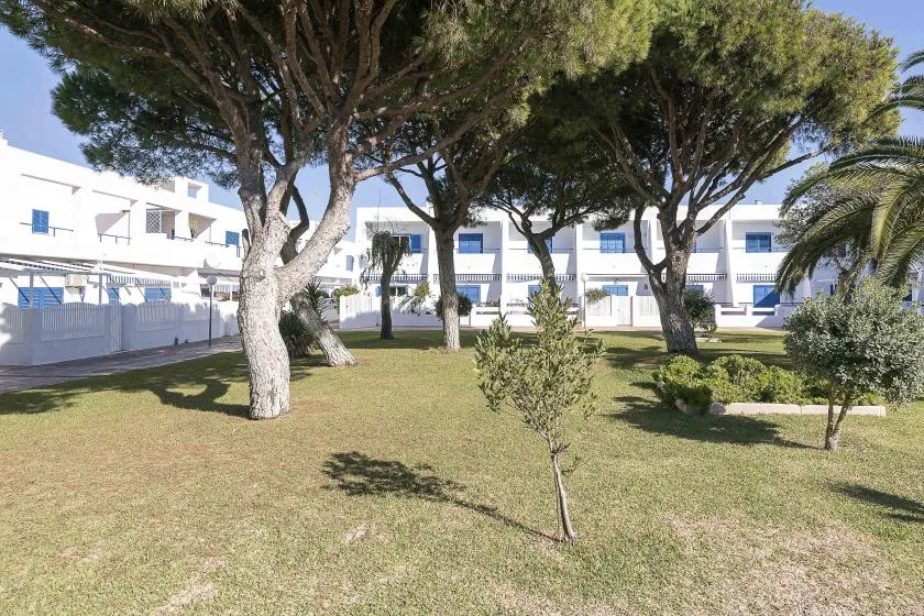 A landscaped courtyard with trees and shrubs in front of white buildings.