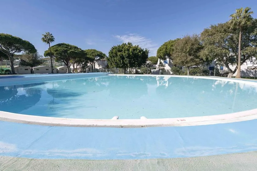 An outdoor swimming pool surrounded by trees and greenery.