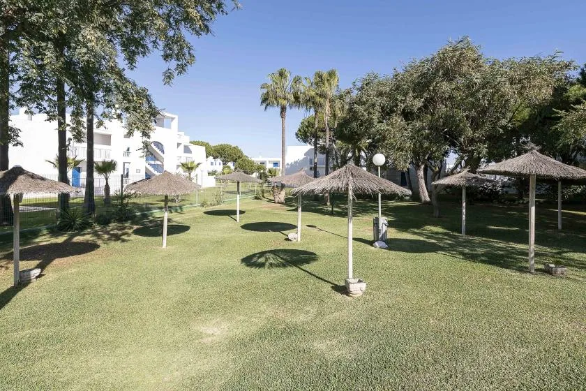 A grassy outdoor area has thatched shade umbrellas, trees, and white buildings.