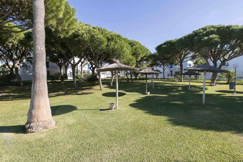A grassy outdoor garden with trees and several shaded seating areas.