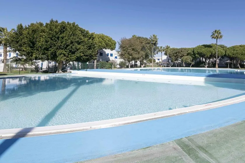 A large outdoor swimming pool sits among trees and low-rise buildings.