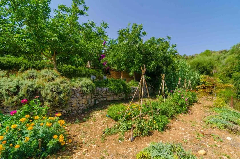 A garden path runs beside planted beds and a low stone wall.