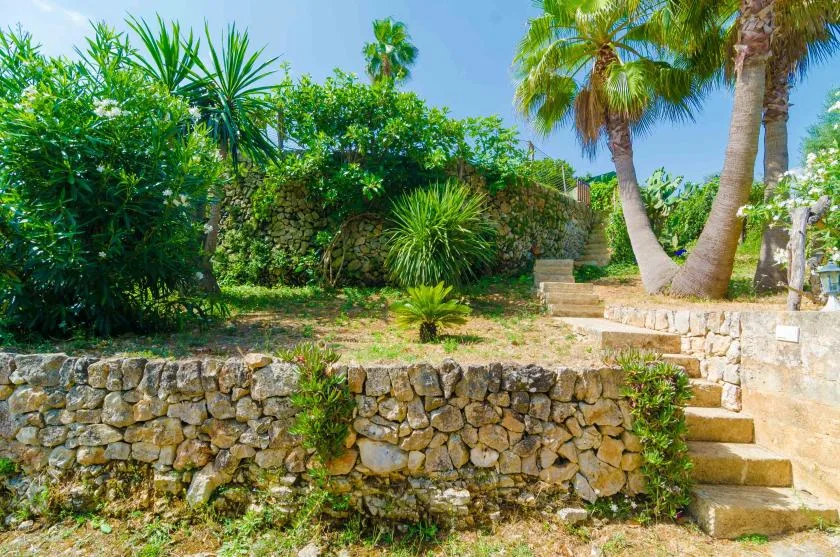 A sunny garden with dense greenery, palm trees, and stone steps.