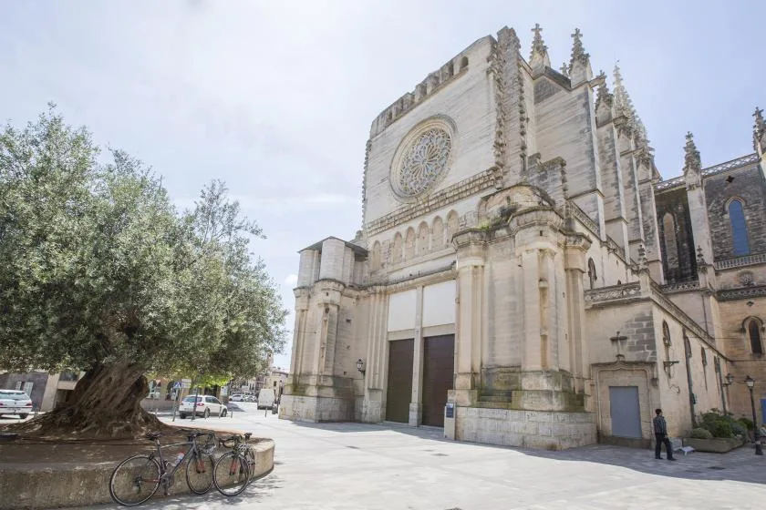 A large stone church stands beside a broad paved plaza and a leafy tree.