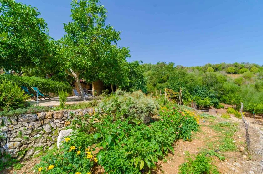 A garden path runs past flowering plants and trees in a green outdoor landscape.