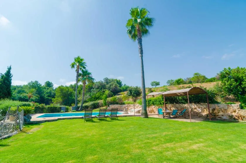 A grassy outdoor pool area has lounge seating, palm trees, and a shaded canopy.