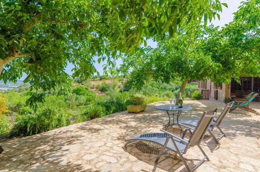 A shaded outdoor patio has seating and a small table beneath leafy trees.