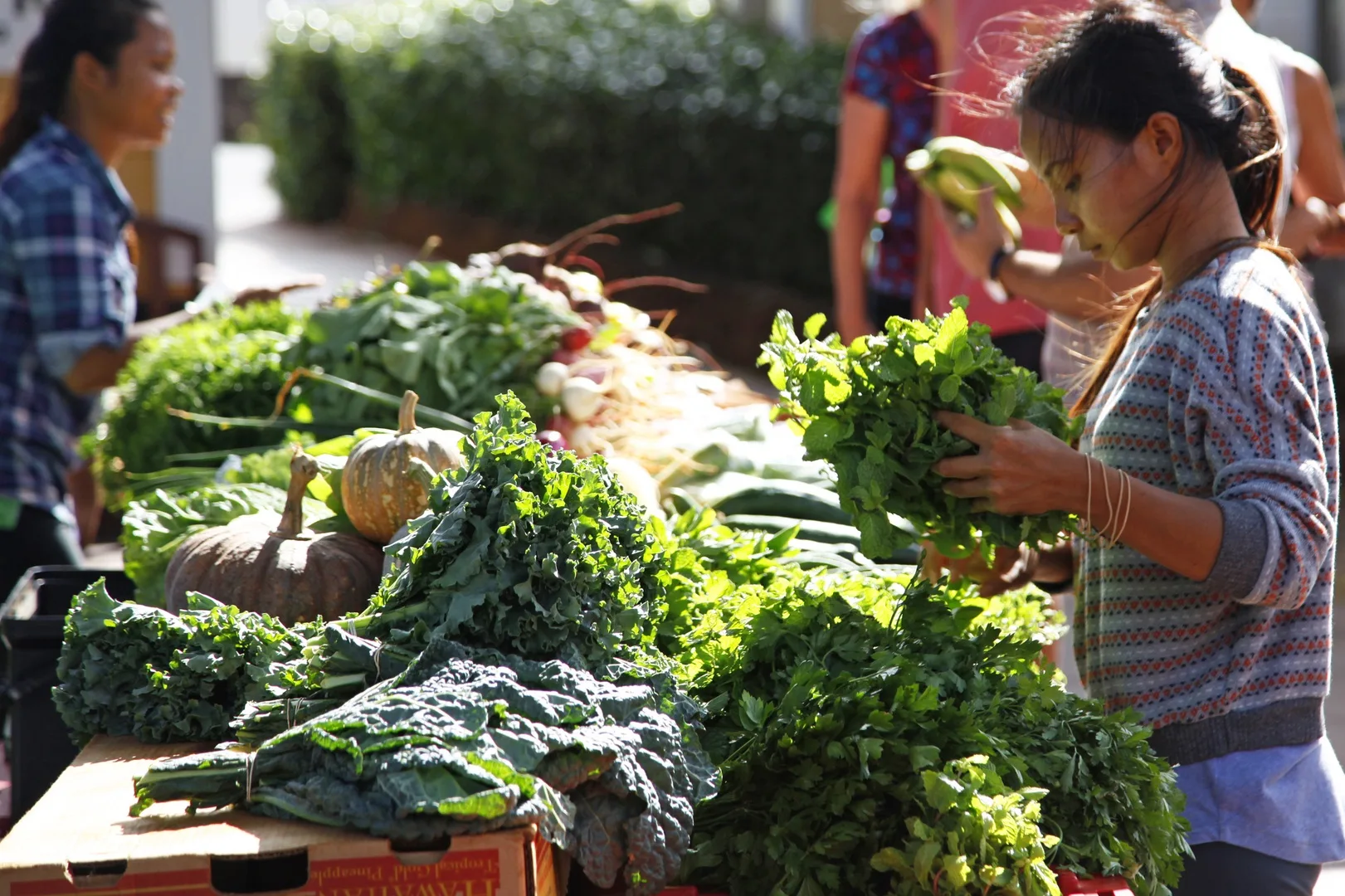 Varias personas miran una mesa de mercado llena de verduras de hoja y calabazas.