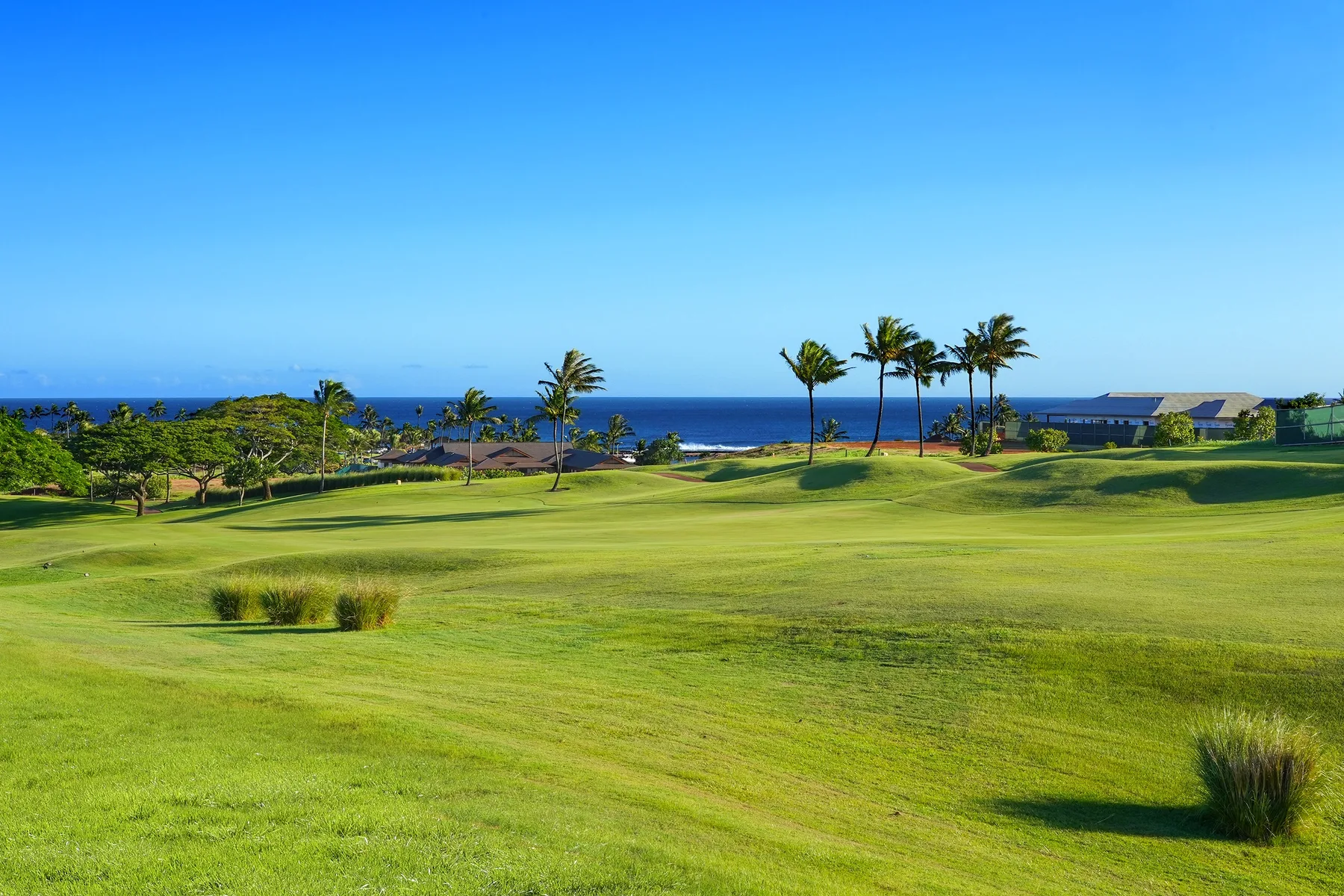 Un campo de golf costero con zonas verdes, palmeras y vistas al océano.