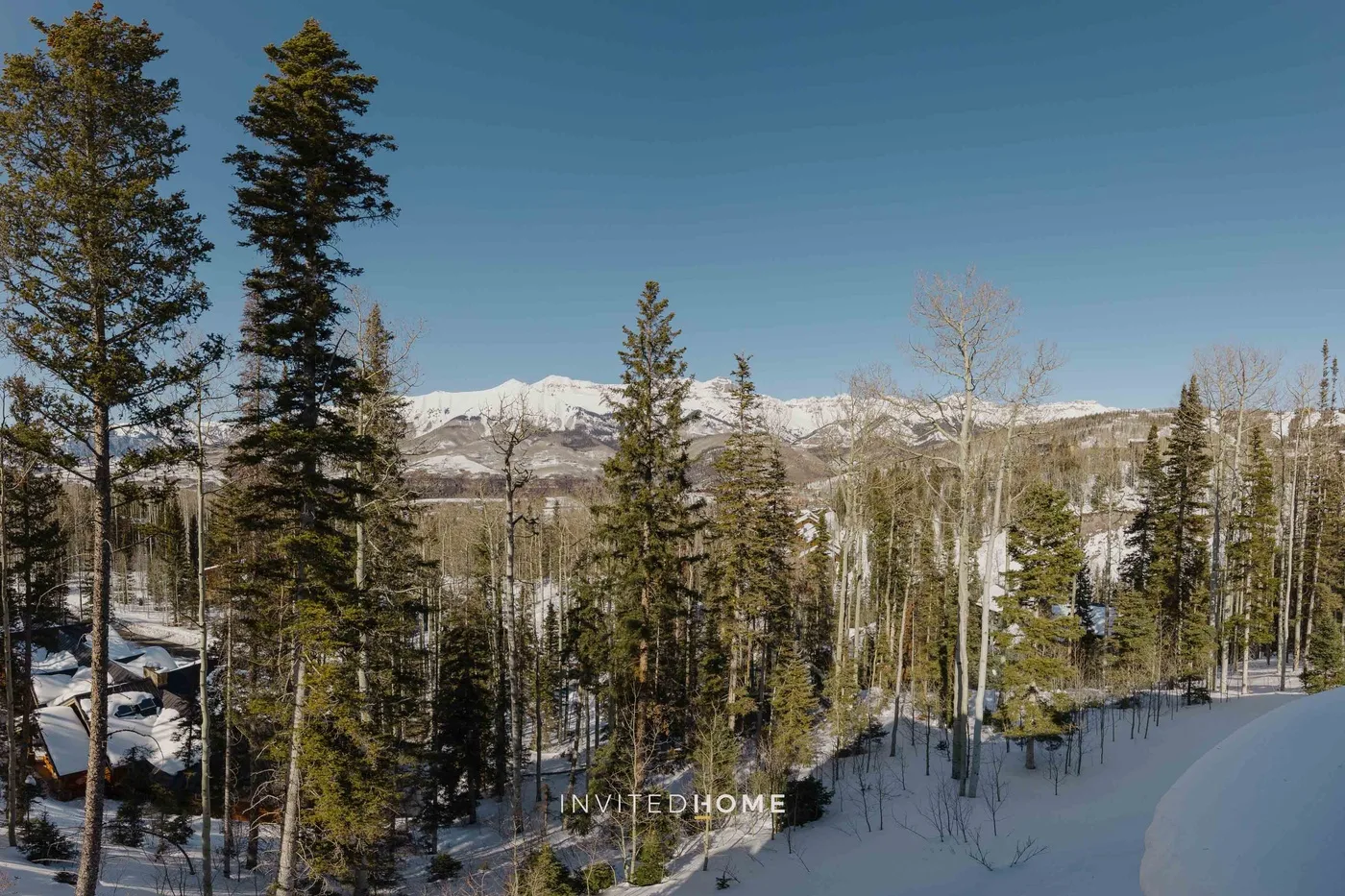 A snowy forest and mountain range beneath a clear blue sky.