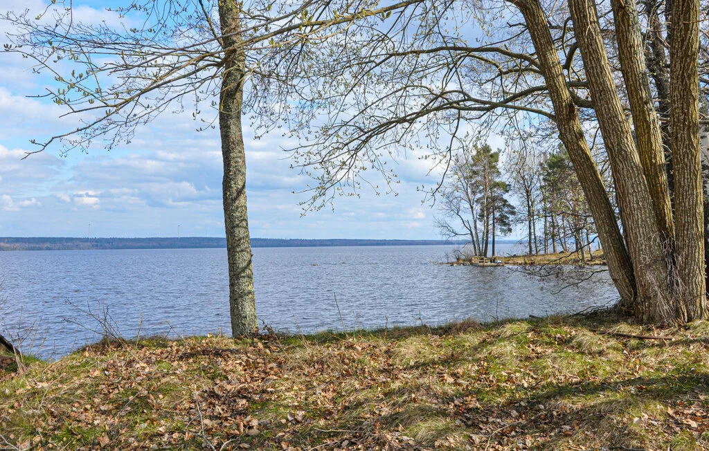 A lakeside landscape with trees along the shore.