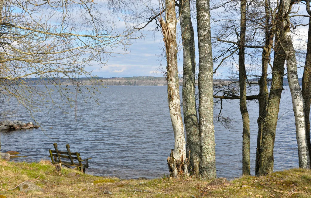 A lakeside view with trees along the shore and a bench near the water.
