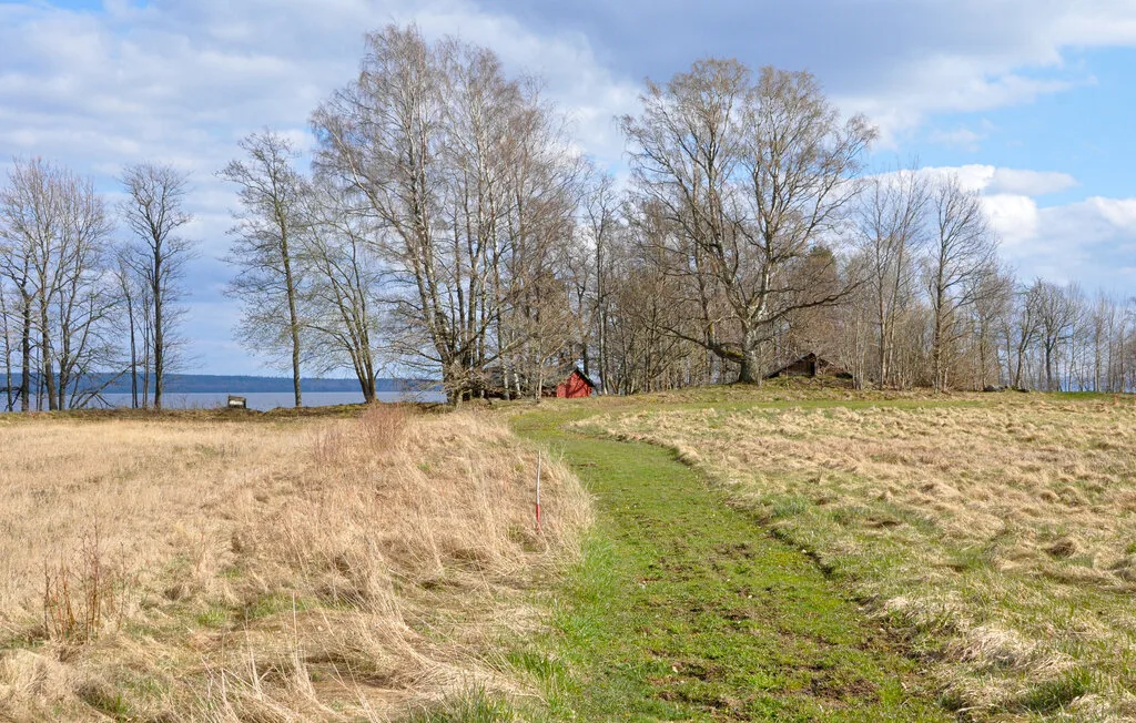 A grassy path crosses an open field toward leafless trees beside the water.