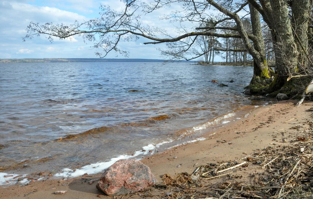 A sandy lakeshore with gentle waves and trees along the water's edge.