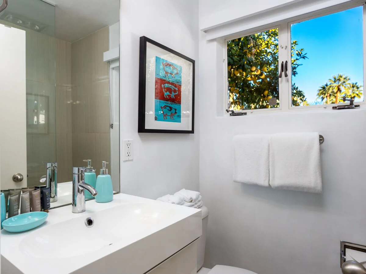 Palm Springs Trousdale