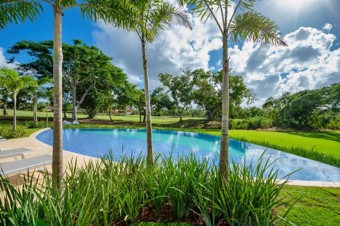An outdoor swimming pool is surrounded by palm trees and green landscaping.
