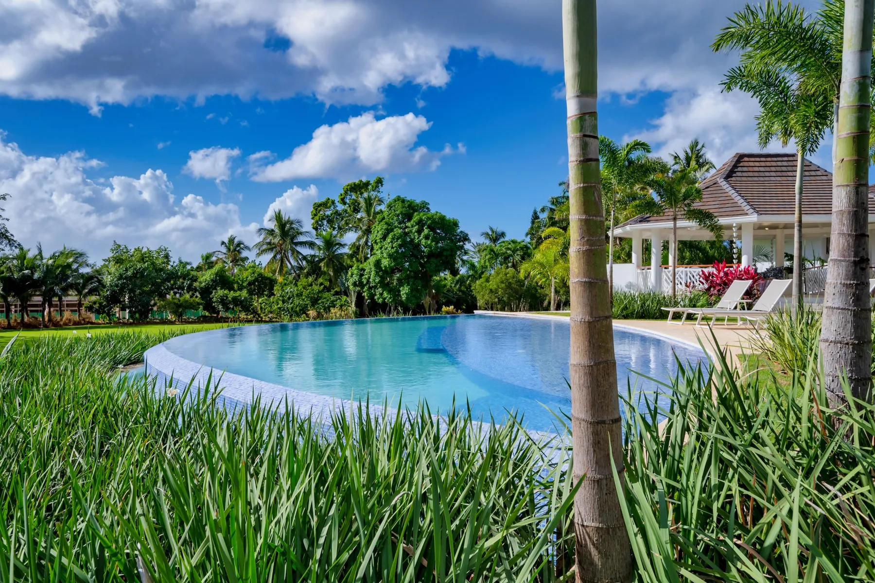 A curved swimming pool sits beside palm trees and a small pavilion.
