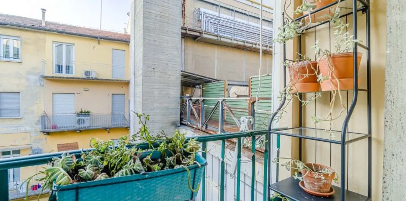 A balcony with potted plants overlooks a neighboring building.