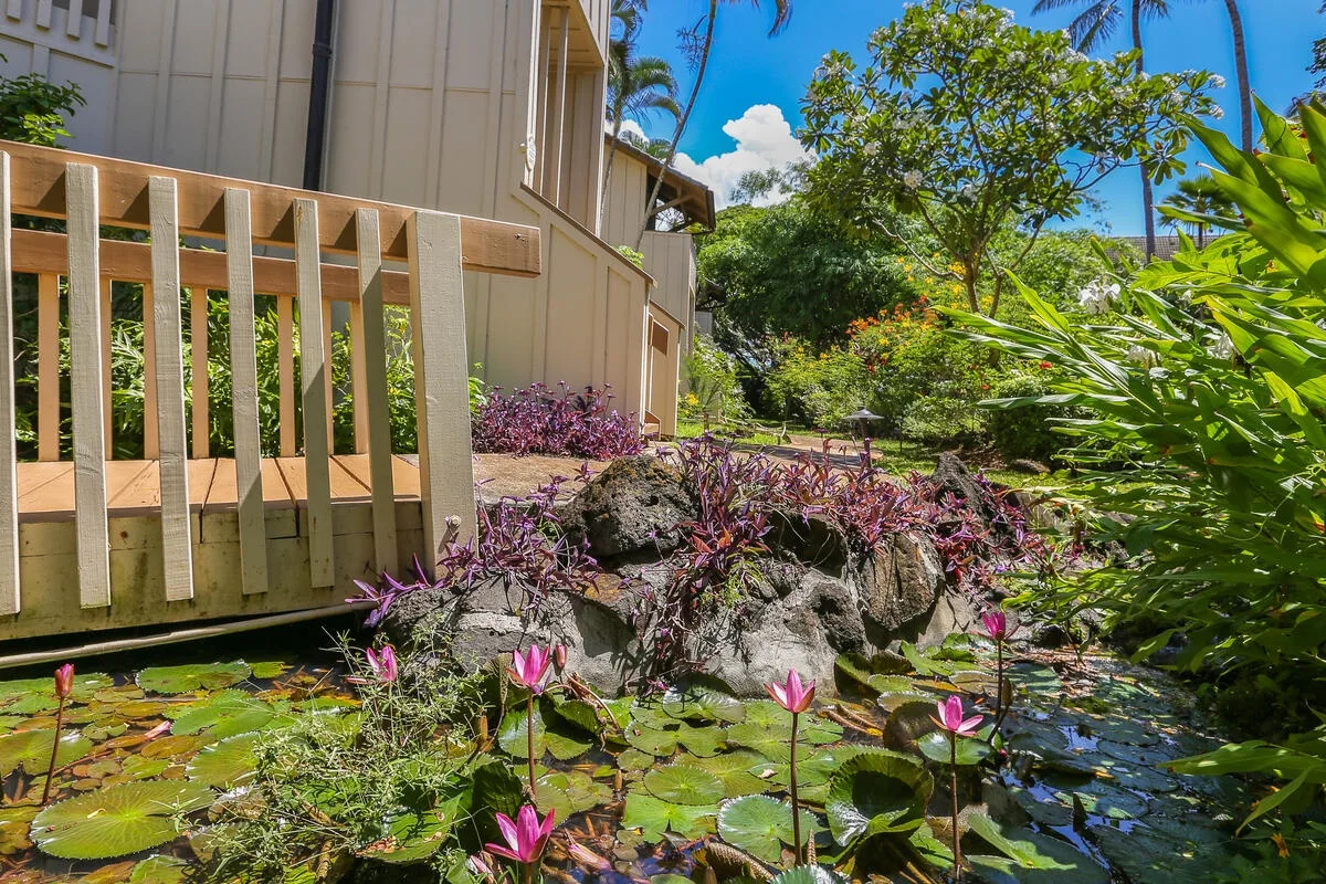 Un estanque de jardín con nenúfares está junto a una terraza de madera, rodeado de plantas tropicales.