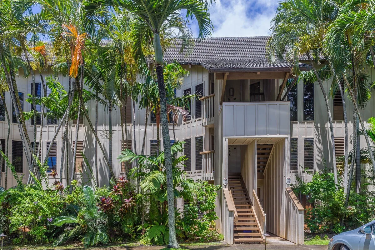 Una entrada elevada con escaleras está rodeada de palmeras y vegetación tropical.
