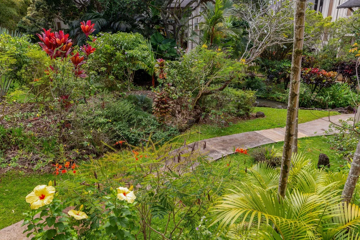 Un jardín ajardinado con un sendero pavimentado entre abundante vegetación.