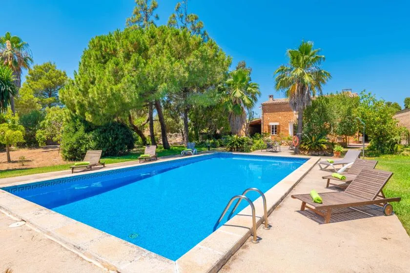 A bright blue swimming pool sits among trees, with lounge seating along the patio.