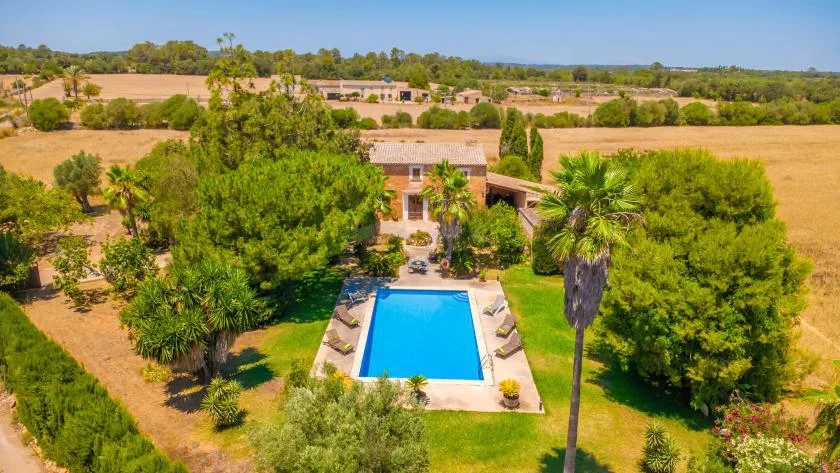 Aerial view of an outdoor swimming pool surrounded by trees and open fields.