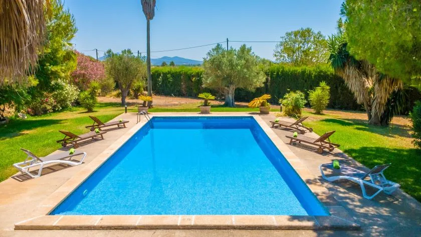 A swimming pool in a landscaped garden, with loungers along its edges.