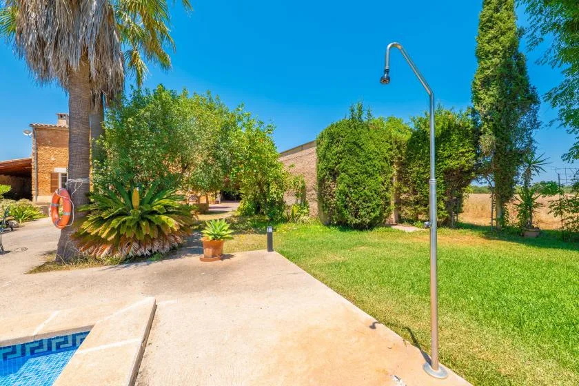 A sunny outdoor pool area with a paved deck, greenery, and a shower.