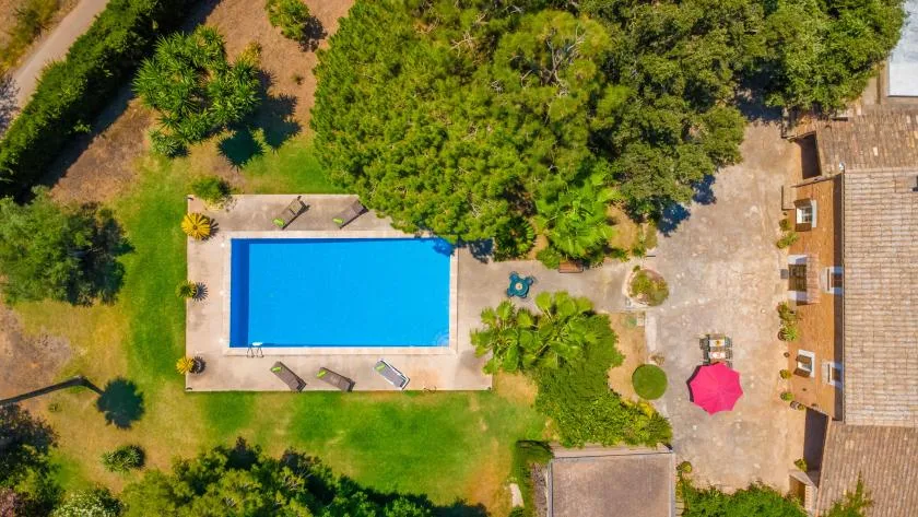 An outdoor swimming pool sits beside a paved patio and landscaped greenery.