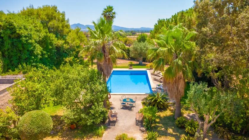 An outdoor swimming pool sits among palm trees and dense greenery.