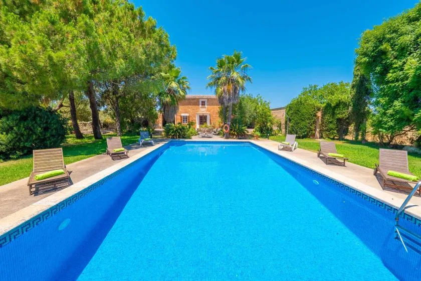 A swimming pool surrounded by greenery and outdoor seating.