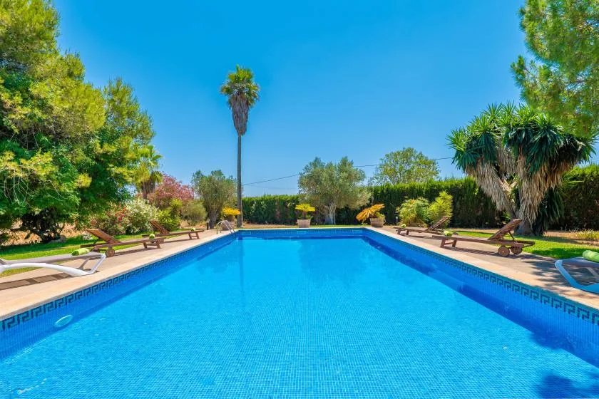 A swimming pool sits outdoors among trees and lounge seating.