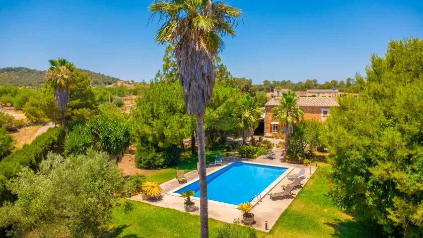 A landscaped outdoor swimming pool surrounded by palm trees and greenery.