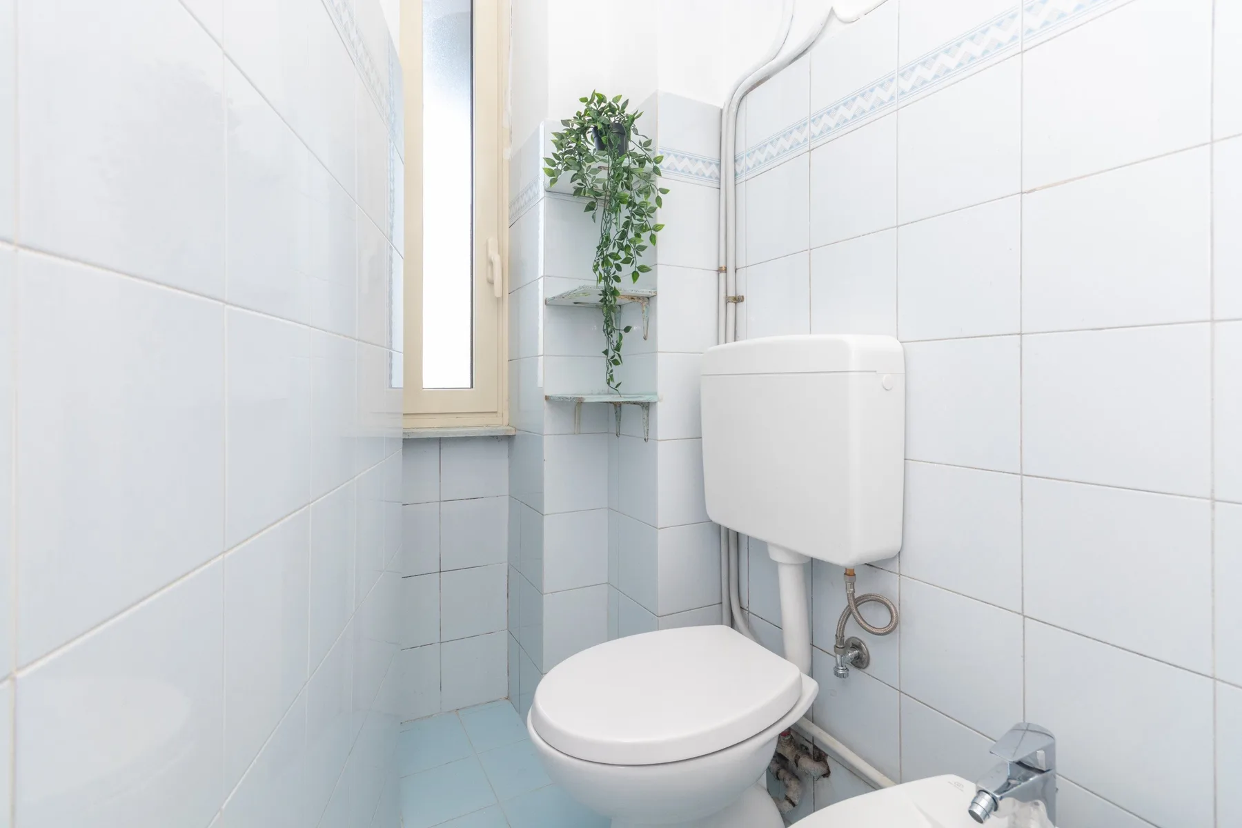 Un baño alicatado con un inodoro y una pequeña planta en maceta.