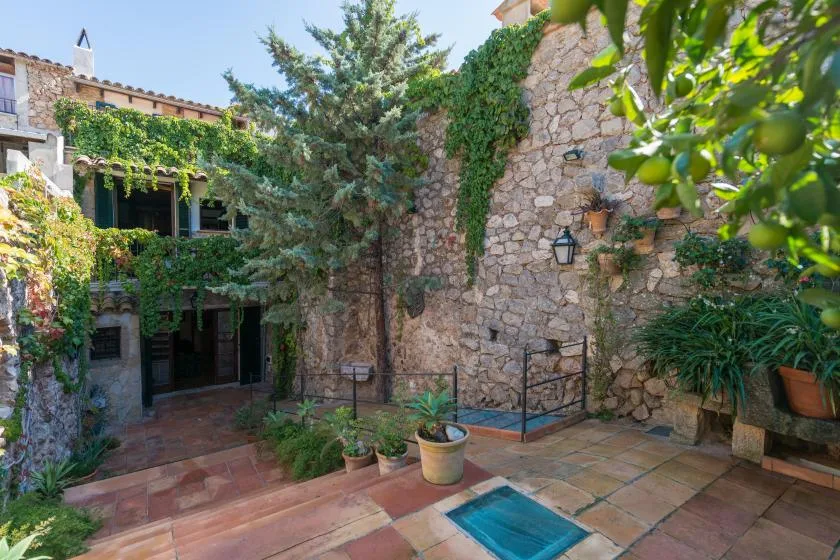 A stone courtyard with potted plants and a small tiled pool.