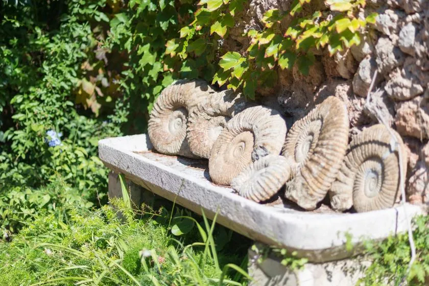 Stone spiral sculptures sit on a low ledge among leafy garden plants.