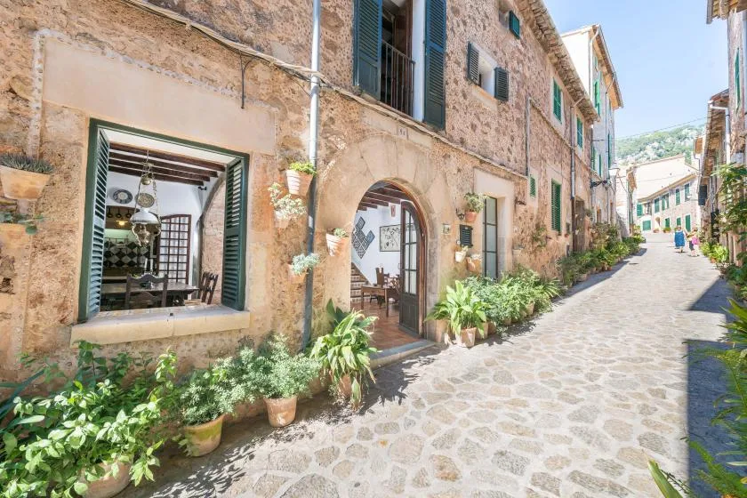 A stone-paved street runs past old stone buildings with plants along the walls.