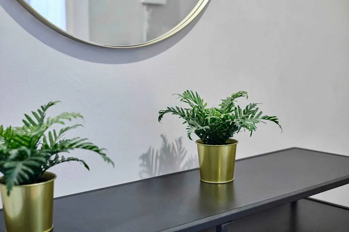 A dark console table displays two potted plants beneath a round mirror.