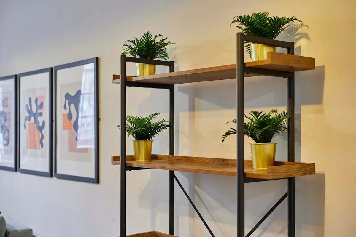 Wall shelving with potted plants stands beside framed artwork in an interior.