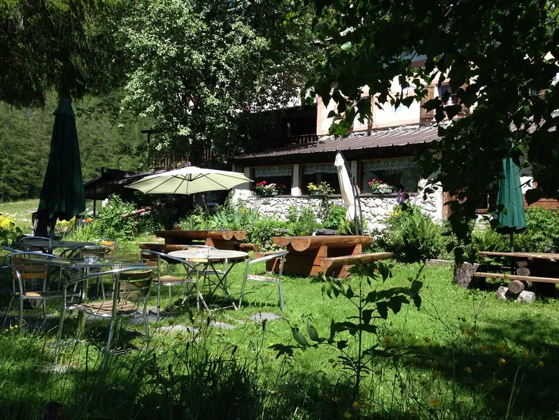 Íbice al sol