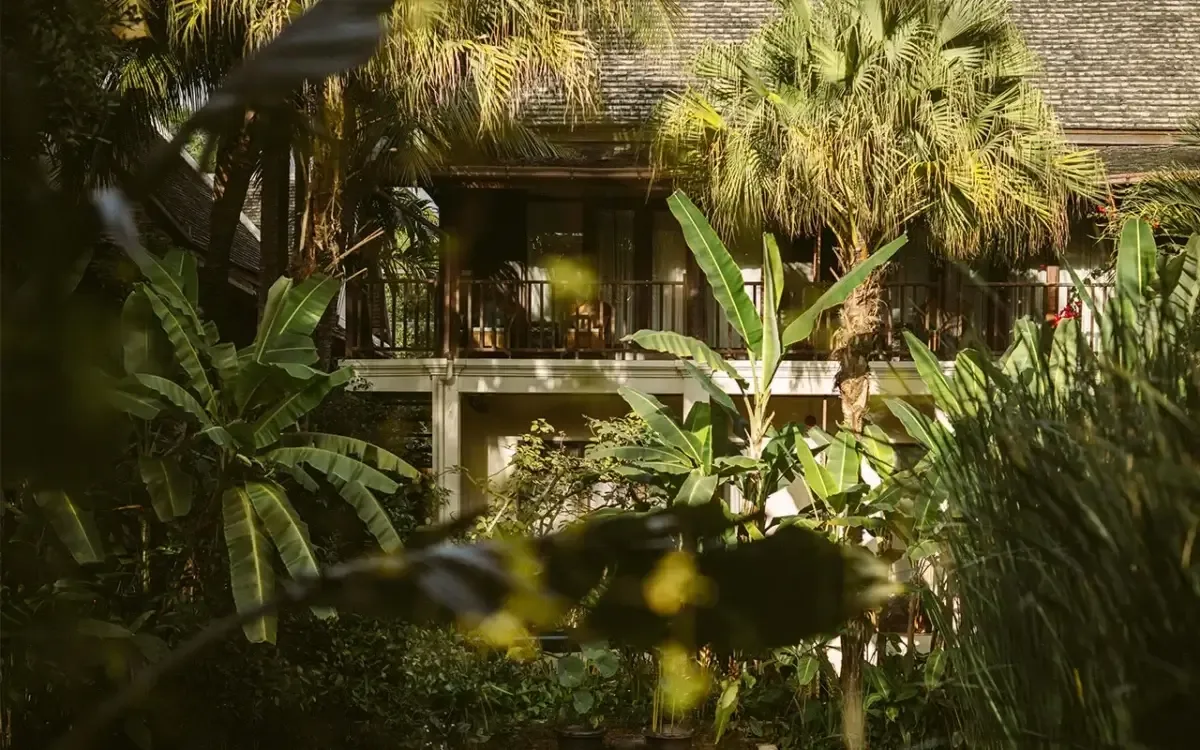 Maison Dalabua garden