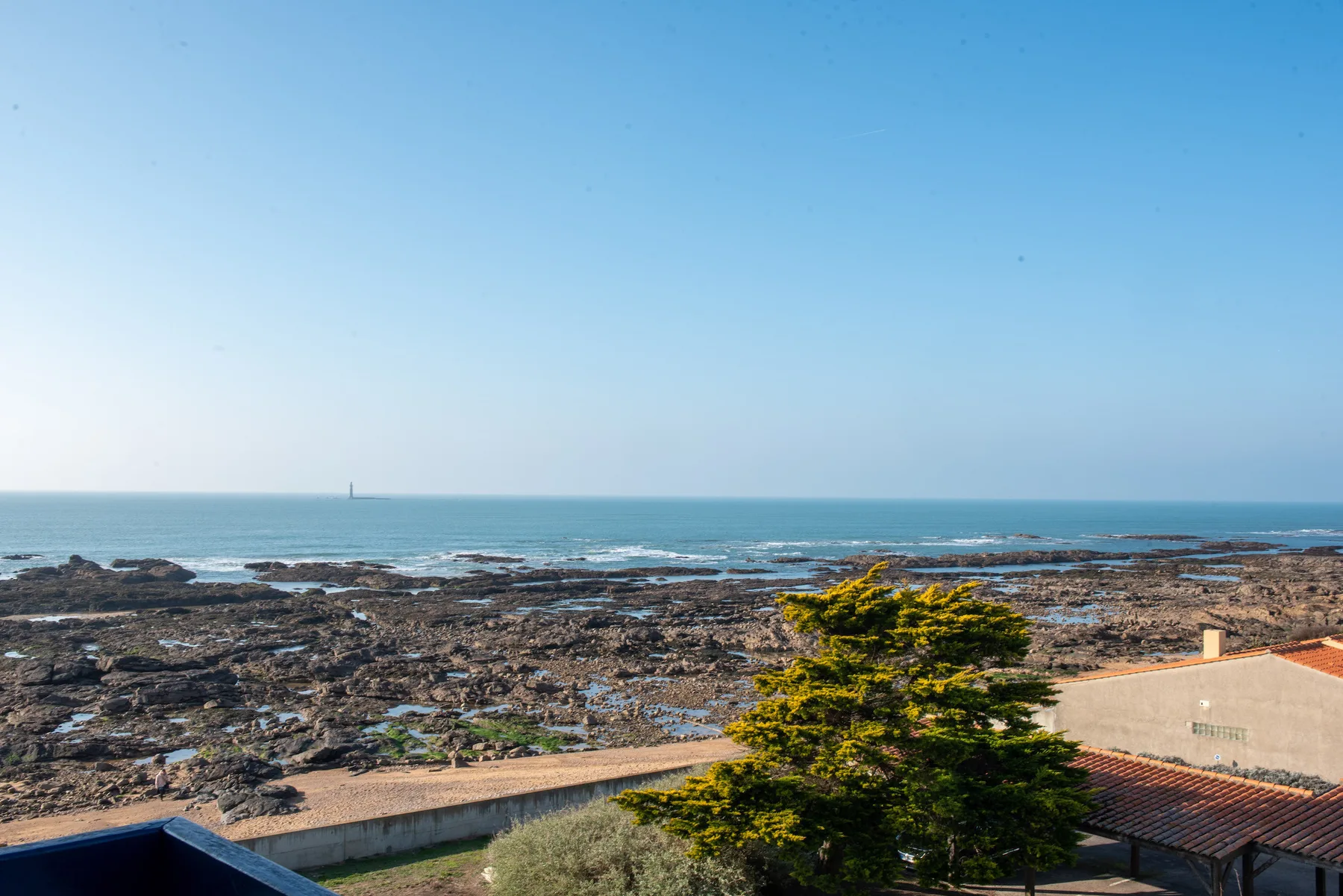 A rocky shoreline and calm sea are visible beyond a low wall and a tree.
