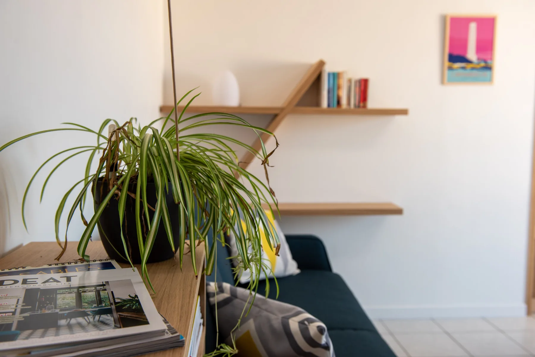 A bright living room with a plant beside a teal seating area.