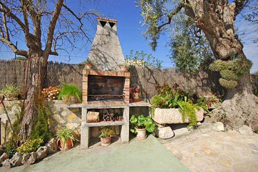 Una zona de barbacoa al aire libre con una parrilla fija y plantas alrededor.